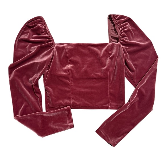 Forever 21 Tops - Pink Velvet Long Sleeve